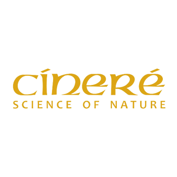 سینره | Cinere